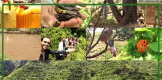 جمهورية عمران الاسطورية