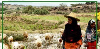 تعدد معاناة المرأة في ريف محافظة إب