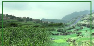 المقاطن من أجمل عزل مديرية ريف إب