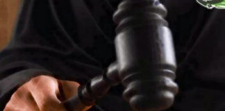 جزائية إب تقرر السير في تنفيذ قرارها السابق بالنطق بالحكم بقضية الطفلة ” ريماس “في الجلسة القادمة