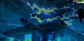 جميلة وشبح المدينة…!