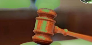 السجن 10 سنوات ودفع دية عمدية بحق المتهم في قضية الطفلة ريماس القادري