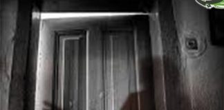 ما وراء الأبواب الخفية .. ظاهرة التحرش