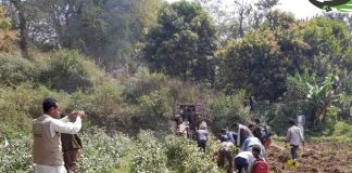 مبادرات مجتمعية وعمل طوعي بمديرية العدين لقلع شجرة القات