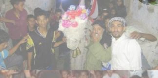 أهازيج شعبانية في محافظة إب ” المدينة القديمة “