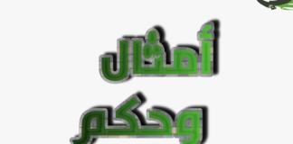 أمثال وحكم شعبية بمحافظة إب