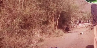 مقتل 3 أطفال في وادي الجنات بإب بظروف غامضة