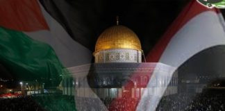 مسيرة حاشدة في إب تضامنا مع الشعب والقضية الفلسطينية