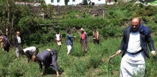 تدشين مشروع الشتلة الزراعية في بعدان