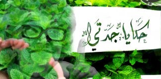 حكايا جدتي  (حزاوي) 2