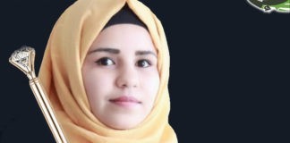 قلم أفلاطوني ( قف يا مطر )