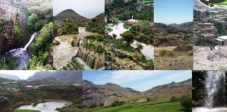 ” العرينة ” .. بيت الأسُود