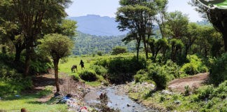 ” حصن خشافة” قطعة من الجنة وواحة سرمدية تضج بالماء
