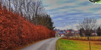 من طريق الموت إلى مارثون الحياة