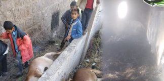 ليلة سوداء في قرية المحشاية بريف إب جراء اندلاع حريق في منزل أحد المغتربين