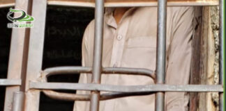 مقتل أب على يد ابنه في مديرية مذيخرة بإب