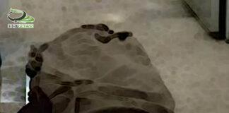 العثور على جثة امرأة مسنة بعد وفاتها بأسبوعين بإب