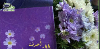 الأكاديمية اليمنية نسرين المرتضى في حوار خاص مع « إب7 برس »