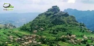 العيد في ريف السيف