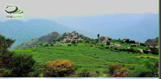 وراف إب .. منطقة سياحية تجذب الزائرين والسياح