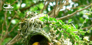 #نفس_الصباح