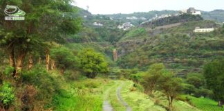 صور من مديرية بعدان