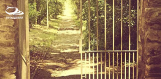 #نفس_الصباح