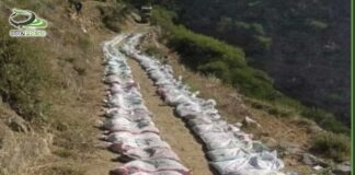 أضواء على موسم الحصاد الزراعي بمحافظة إب