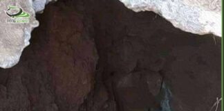 سرقة الموتى من القبور في العدين بمحافظة إب