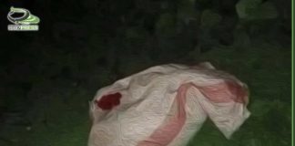 أمن إب يكشف تفاصيل مقتل المجني عليها هند ناشر