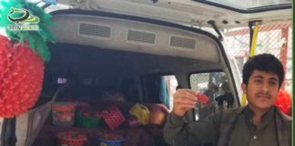 بائعو الفراولة يكذبون الإشاعات حول احتواء المنتج المحلي على مواد سامة