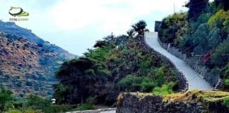 طريقٌ أم قلادةٌ أم لوحة!