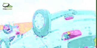 شاهدٌ وشهيد