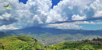 إب.. اللواء الأخضر …