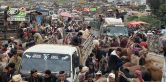 ما رأيكم بأسعار المواشي قبل عيد الأضحى ؟