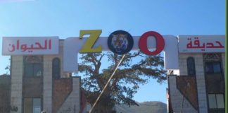 حديقة الحيوانات بإب .. حيوانات جائعة وعشوائية تامة وتدهور كبير