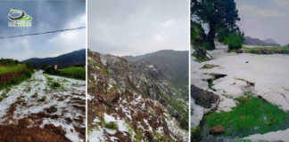 ثلوج تكسو جبال إب