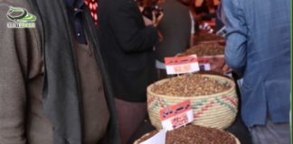 إحياء الذكرى الثانية لثورة البن اليمني بإب