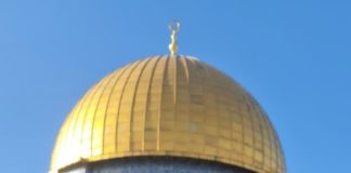 إب7برس Ibb7press .. لكم من الأقصى سلام