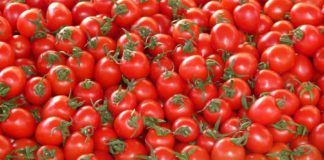 ماهو سعر كيلو ِ #الطماطم الطازج في سوق #الخضار بمنطقتكم #اليوم ؟