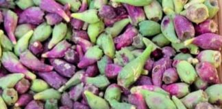 ماذا تسمونها في منطقتكم؟