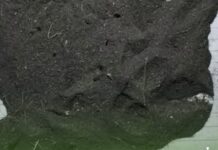 أتربة سوداء تغطي سماء إب تثير قلق وذعر السكان المحليين