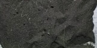 أتربة سوداء تغطي سماء إب تثير قلق وذعر السكان المحليين